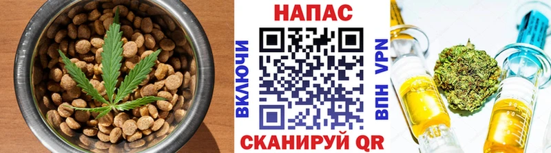 Купить Гвардейск Canna-Cookies конопля