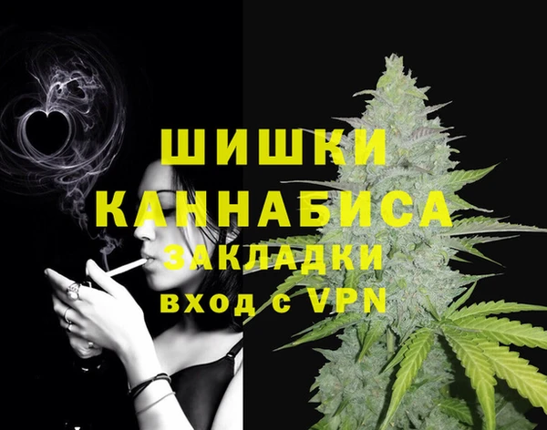 дурь Алзамай