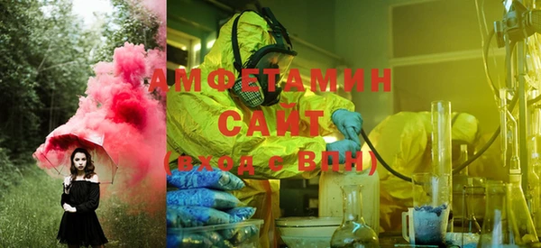 прущие грибы Алексеевка