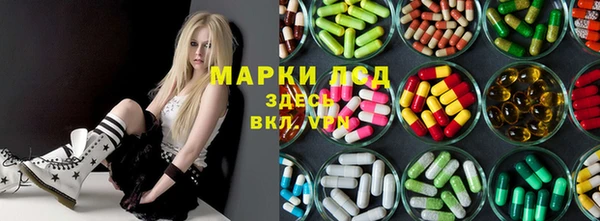 прущие грибы Алексеевка