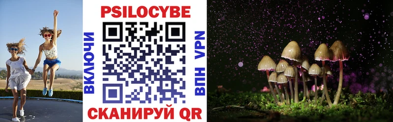 Псилоцибиновые грибы прущие грибы  Купить где  Гвардейск 